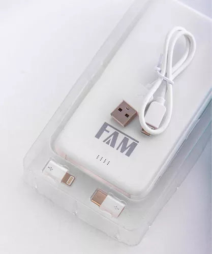 POWER BANK 10000MAH L10010 FAM